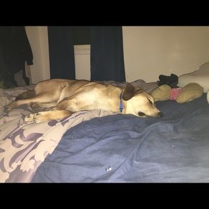 Meet your Posher, Kris